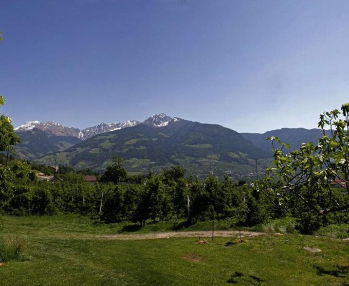 Residence Streitlhof Tirolo Dış mekan fotoğraf