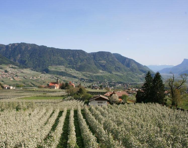 Residence Streitlhof Tirolo Dış mekan fotoğraf
