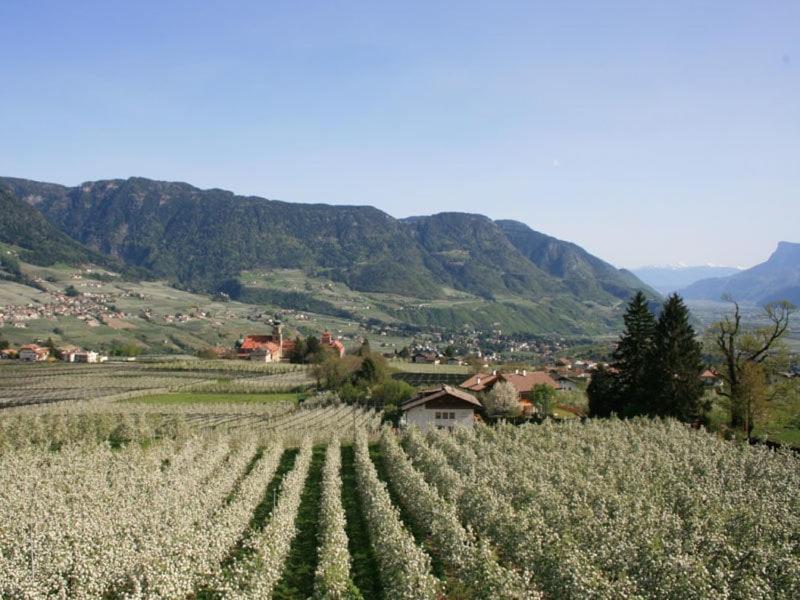 Residence Streitlhof Tirolo Dış mekan fotoğraf