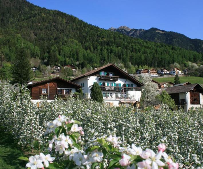 Residence Streitlhof Tirolo Dış mekan fotoğraf